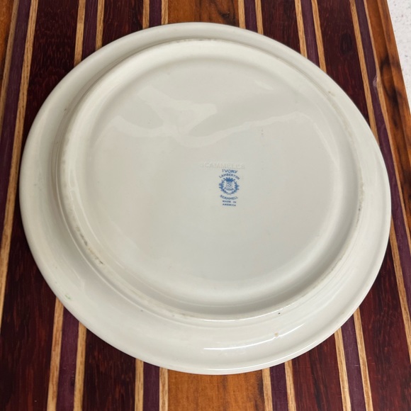 Gorgeous Vintage Restaurant 3 Section Plate Scammell Ivory Lamerton Made USA 10” - Picture 10 of 10